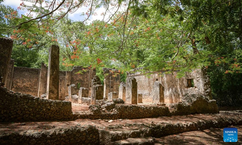 This photo taken on April 15, 2023 shows a view of the ruins of Gedi in Kilifi County, Kenya. The historic town of Gedi in the coastal region of Kenya has been inscribed on the World Heritage List by the United Nations Educational, Scientific and Cultural Organization (UNESCO), the National Museums of Kenya (NMK) said on Saturday.(Xinhua/Han Xu)