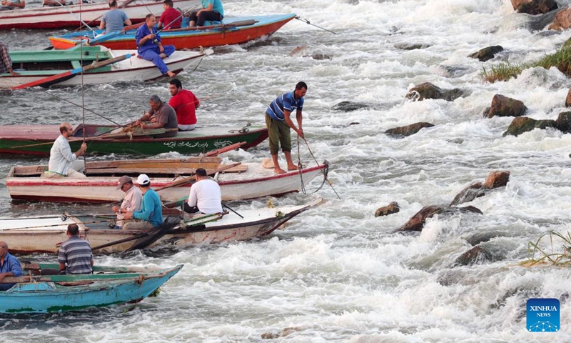 Fishermen fish at a waterfall in the Nile River in Qalyubia Governorate, Egypt, on July 6, 2024. Hundreds of amateur and professional fishermen gathered here to fish and escape the heat during hot summer. Photo: Xinhua