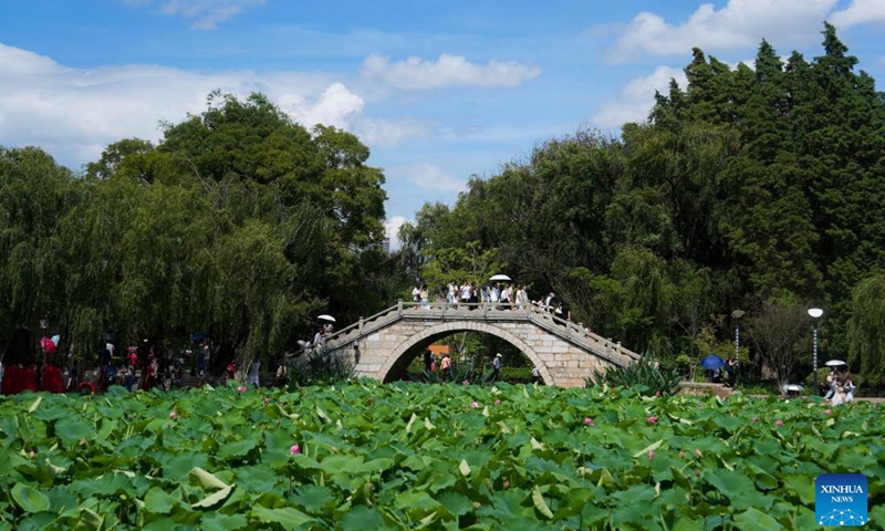 Visitors enjoy lotus flowers at Daguan Park in Kunming, southwest China's Yunnan Province, July 7, 2024. (Xinhua/Hu Chao)