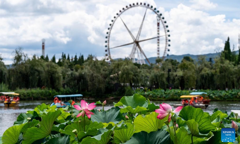 Visitors on boats enjoy lotus flowers at Daguan Park in Kunming, southwest China's Yunnan Province, July 7, 2024. (Xinhua/Hu Chao)