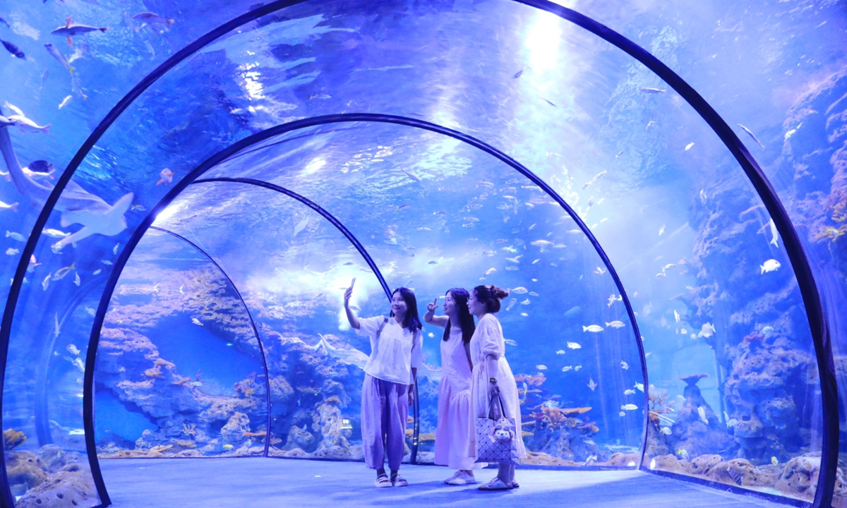 Tourists enjoy themselves at the Zhoushan Changqiao Ocean Park in Zhoushan, East China's Zhejiang Province, on July 10, 2024. The ocean park features various themed venues, with a total of over 50,000 marine creatures. Photo: VCG