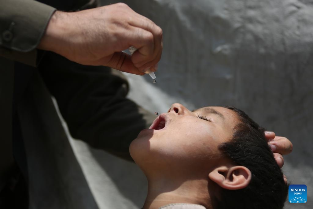 A child is given a dose of anti-polio vaccine in Kabul, Afghanistan, July 9, 2024. A four-day house-to-house anti-polio campaign kicked off in 23 of Afghanistan's 34 provinces on Monday, local media reported (Photo: Xinhua)