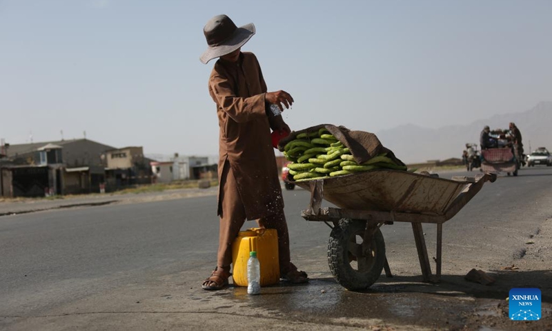 An Afghan child sells cucumber in Kabul, Afghanistan, July 9, 2024. (Photo: Xinhua)