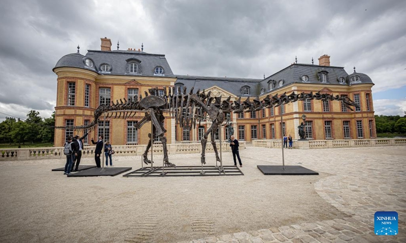 An Apatosaurus' dinosaur skeleton is displayed at the Dampierre-en-Yvelines castle in Dampierre-en-Yvelines, south of Paris, France, July 10, 2024. Measuring 21 meters long, this skeleton from about 150 million years ago is scheduled for auction in November this year. (Photo: Xinhua)