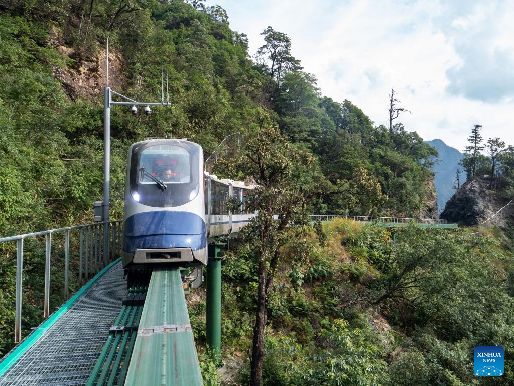 An electrical multiple unit (EMU) train moves at the Dajue Mountain Scenic Area in east China's Jiangxi Province, July 11, 2024. A batch of 30 electrical multiple unit (EMU) trains, part of what is called the mountain area elevated monorail sightseeing trains and track system, were delivered to the Dajue Mountain Scenic Area in Zixi County, east China's Jiangxi Province on Thursday. (Photo: Xinhua)