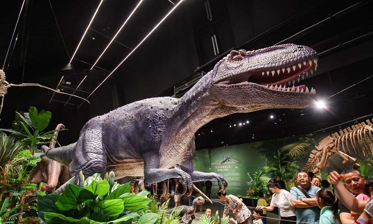 Visitors explore the <em>Dinosaurs Unearthed: 200 Million Years of Earth's History</em> exhibition Photo: Courtesy of Meet You Museum