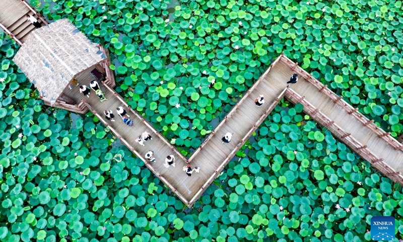 An aerial drone photo taken on July 14, 2024 shows tourists visiting a national wetland park in Xinghua City, east China's Jiangsu Province. Many tourist destinations across China have recently seen a surge in visitors as the country enters its peak summer tourist season. (Photo by Zhou Shegen/Xinhua)