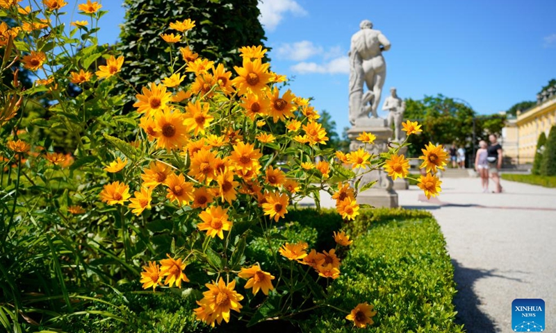 Flowers are pictured at a garden of Wilanow Palace in Warsaw, Poland, July 13, 2024. Photo by Jaap Arriens/Xinhua)