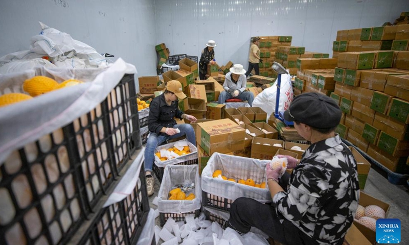 Farmers pack pepino melons in Tongxin County of Wuzhong, northwest China's Ningxia Hui Autonomous Region, July 11, 2024. 