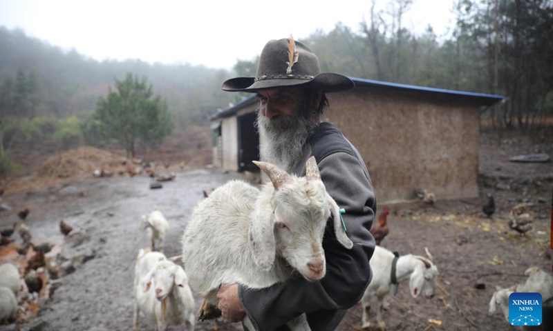 This undated file photo shows Patrick Jan Cillen, Kevin Cillen Michael E.'s father, checking on a goat at his farm in Xiasi Village, Dushan County, southwest China's Guizhou Province. (Xinhua/Tao Liang)