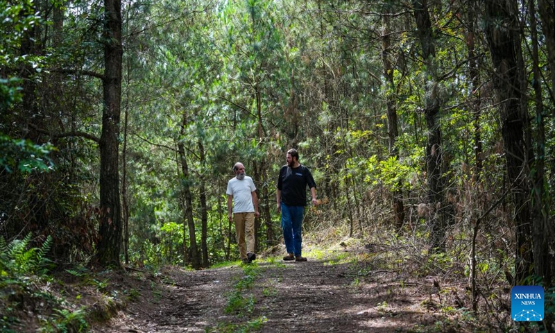 Kevin Cillen Michael E. (R) and his father walk in a forest near his farm in Xiasi Village, Dushan County, southwest China's Guizhou Province, June 13, 2024. (Xinhua/Tao Liang)