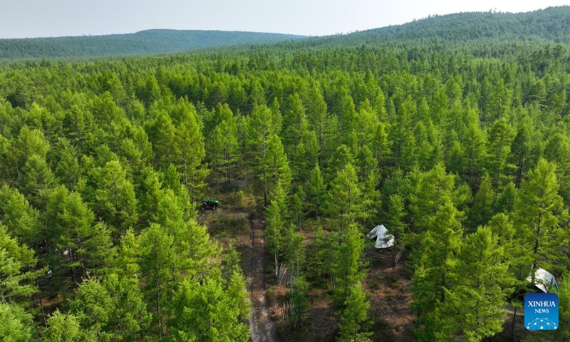 An aerial drone photo taken on July 3, 2024 shows a view near the reindeer herding site in Jinhe Town of Genhe City, north China's Inner Mongolia Autonomous Region. (Xinhua/Bei He)