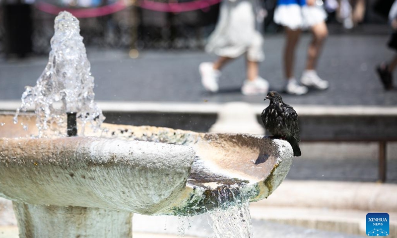 A pigeon rests at Fontana della Barcaccia amid a heatwave in Rome, Italy, July 14, 2024. (Xinhua/Li Jing)