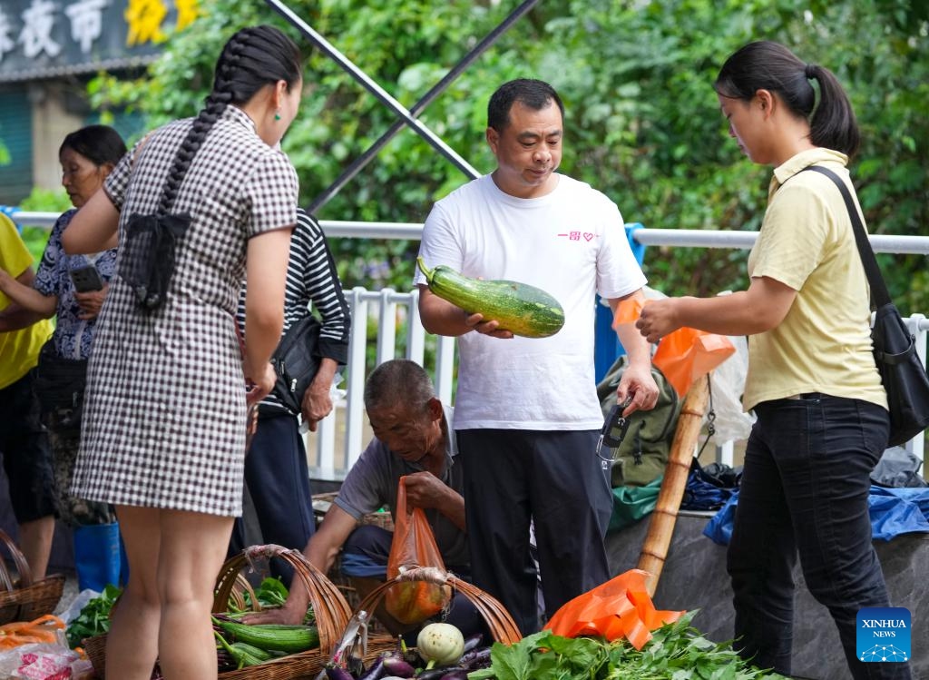 Qin Dayi (2nd R) helps farmers promote their produce at a temporary market in Xishan Wharf in Zhongxian County, southwest China's Chongqing Municipality, July 11, 2024. (Photo: Xinhua)