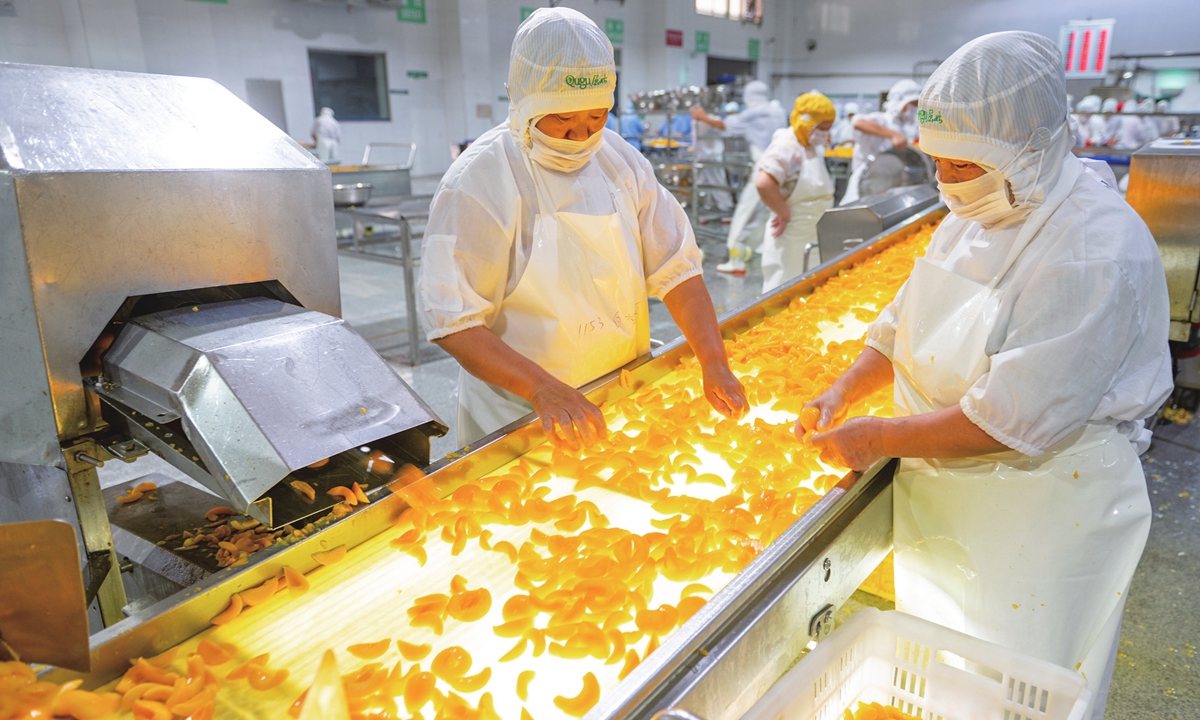 Workers sort yellow peaches on a processing line of a food manufacturing plant in Yichang, Central China's Hubei Province, on July 21, 2024. During the annual harvest season, local food enterprises work at full capacity to process yellow peaches into canned goods for sale in the domestic and overseas markets. Photo: IC