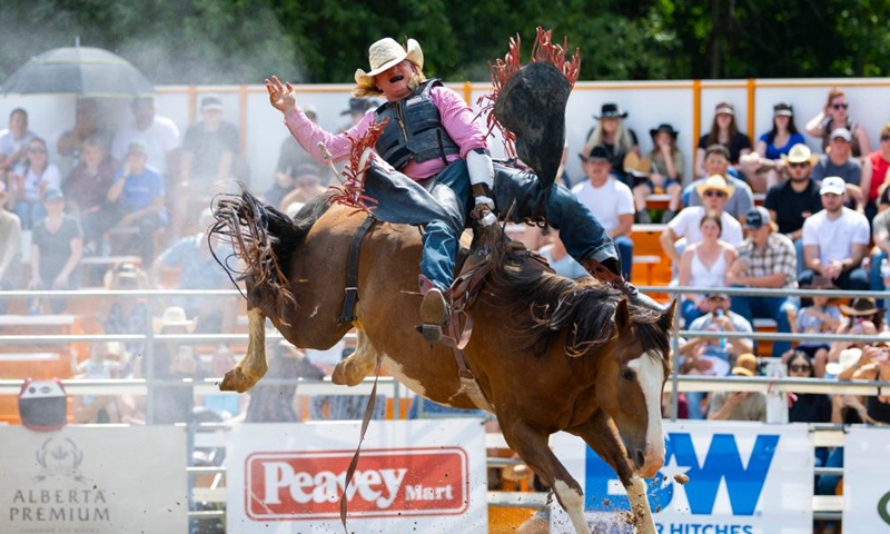 A cowboy competes in the bareback riding event at the 2024 RAM Rodeo Tour in Erin, Ontario, Canada, on July 21, 2024. (Photo by Zou Zheng/Xinhua)