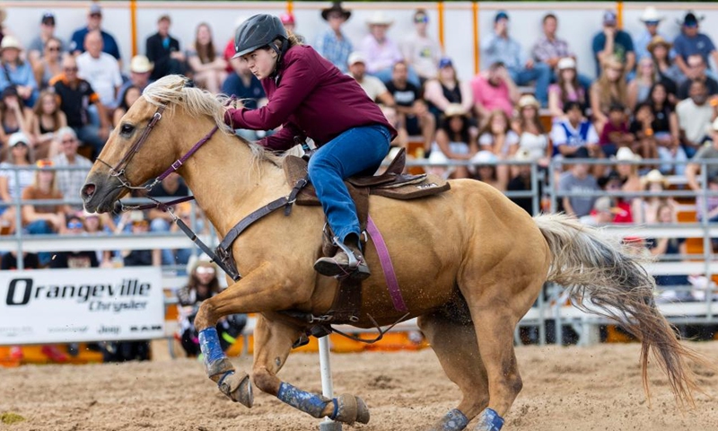 A cowgirl competes in the pole racing event at the 2024 RAM Rodeo Tour in Erin, Ontario, Canada, on July 21, 2024. (Photo by Zou Zheng/Xinhua)