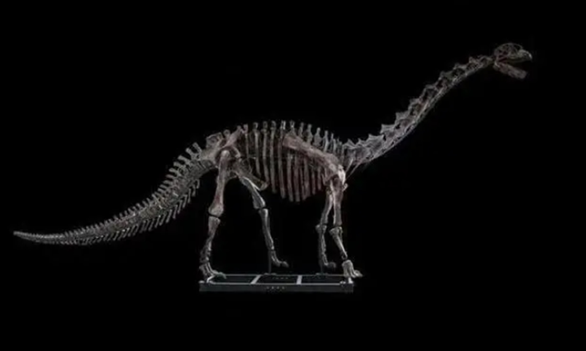 Oldest sauropod dinosaur fossil discovered in SW China - Global Times