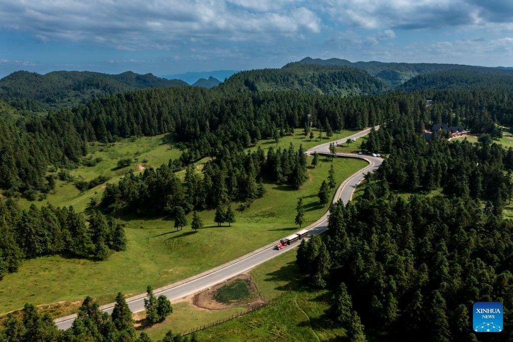 An aerial drone photo taken on July 22, 2024 shows a view of the Fairy Mountain National Forest Park in Wulong District, southwest China's Chongqing Municipality. Relying on its pleasant climate and beautiful natural environment, the Fairy Mountain scenic area, with an altitude of 1,100 to 2,033 meters, has become a popular destination for citizens to escape the sweltering summer heat. (Photo: Xinhua)