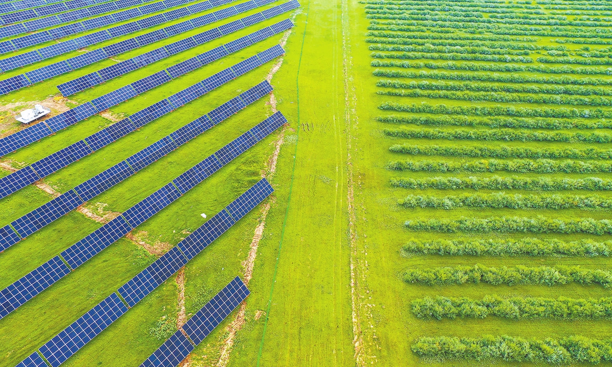 A 100-megawatt photovoltaic project is put into operation in Tongliao city, North China's Inner Mongolia Autonomous Region on July 24, 2024. The project brings green energy to the region, and helps optimize the structure of the local energy industry and promote the sustainable development of the local economy. Photo: VCG