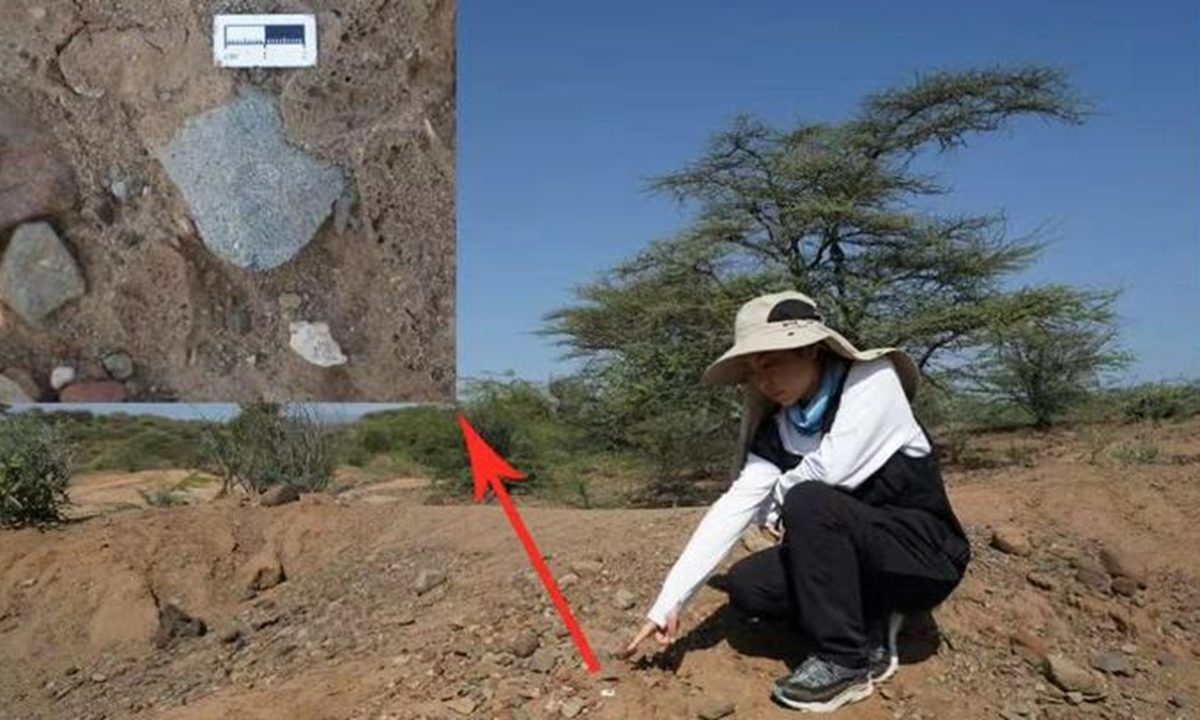 Stone flakes from the Levallois technique Photo: Henan Daily 