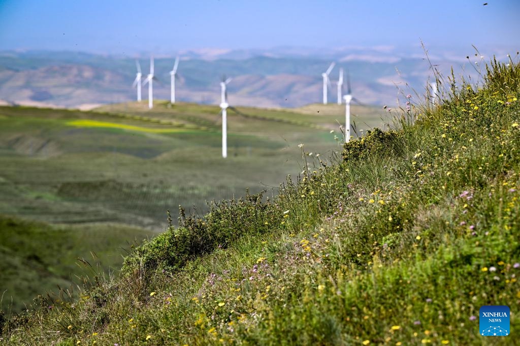 This photo taken on July 25, 2024 shows blooming flowers on the Nanhua Mountain in Haiyuan County of Zhongwei, northwest China's Ningxia Hui Autonomous Region. With years of ecological restoration efforts, Nanhua Mountain has a forest coverage rate of about 30.7 percent and the vegetation coverage of over 95 percent. (Photo: Xinhua)