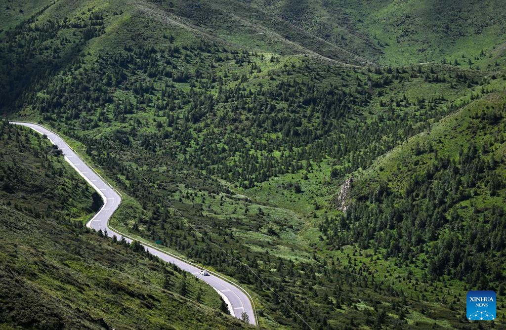 This photo taken on July 25, 2024 shows a view of the Nanhua Mountain in Haiyuan County of Zhongwei, northwest China's Ningxia Hui Autonomous Region. With years of ecological restoration efforts, Nanhua Mountain has a forest coverage rate of about 30.7 percent and the vegetation coverage of over 95 percent. (Photo: Xinhua)