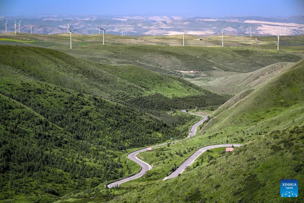 This photo taken on July 25, 2024 shows a view of the Nanhua Mountain in Haiyuan County of Zhongwei, northwest China's Ningxia Hui Autonomous Region. With years of ecological restoration efforts, Nanhua Mountain has a forest coverage rate of about 30.7 percent and the vegetation coverage of over 95 percent. (Photo: Xinhua)