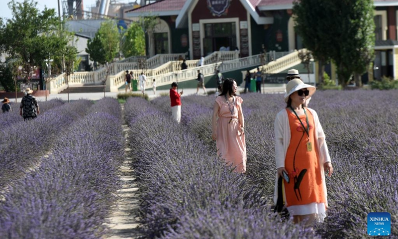 Tourists visit a lavender field in Huocheng County, northwest China's Xinjiang Uygur Autonomous Region, July 26, 2024. Lavender was introduced in Huocheng County more than half century ago from France. Sharing many similarities with Provence in France as latitude, meteorological and soil conditions, Huocheng become the largest lavender production base in China and the third largest in the world, following Provence and Japan's Furano. Photo: Xinhua