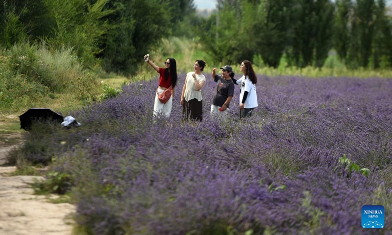 Tourists visit a lavender field in Huocheng County, northwest China's Xinjiang Uygur Autonomous Region, July 26, 2024. Lavender was introduced in Huocheng County more than half century ago from France. Sharing many similarities with Provence in France as latitude, meteorological and soil conditions, Huocheng become the largest lavender production base in China and the third largest in the world, following Provence and Japan's Furano. Photo: Xinhua