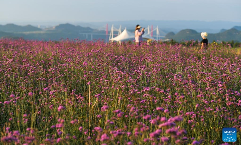 A tourist poses for a photo at the Zimei Lake scenic spot in Jinxing Village, Longshan Town, Longli County, southwest China's Guizhou Province, July 25, 2024. During summer vacation, Longli County has become a popular destination for tourists to escape the sweltering summer heat. In recent years, local authorities have promoted the upgrading of the rural tourism, which attracts more tourists to visit. Photo: Xinhua