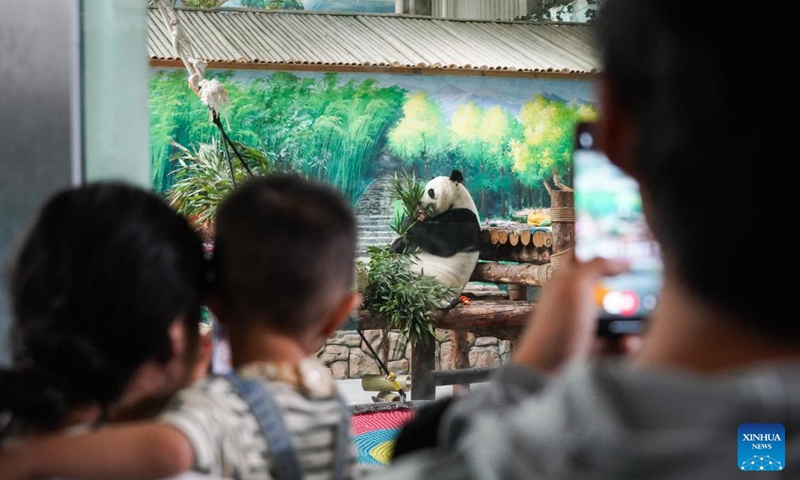 Tourists visit the Xining Panda House in Xining, northwest China's Qinghai Province, July 28, 2024. A special event was held on Sunday to celebrate the birthdays of giant pandas Shuangxin and Hexing at the Xining Panda House. Photo: Xinhua