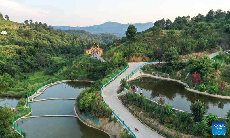 An aerial drone photo taken on July 26, 2024 shows tourists fishing at an ecological park in Longli County, southwest China's Guizhou Province During summer vacation, Longli County has become a popular destination for tourists to escape the sweltering summer heat. In recent years, local authorities have promoted the upgrading of the rural tourism, which attracts more tourists to visit. Photo: Xinhua