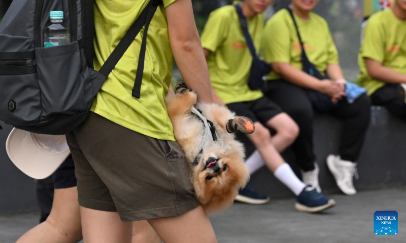 A dog and its owner attend Bark Day Fun Run at Senayan Park in Jakarta, Indonesia, on Aug. 11, 2024. This event aims to call for more attention to the welfare of dogs and stop the dog meat trade. (Photo: Xinhua)