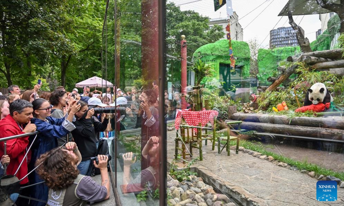 Visitors take photos of giant panda Dingding during her birthday celebration at the Moscow Zoo in Moscow, capital of Russia, July 30, 2024. Dingding enjoyed her birthday celebration in Russia on Tuesday. She was born on July 30, 2017 at the Shenshuping giant panda base of China's Wolong National Nature Reserve, and arrived in Moscow in April 2019 from China's southwest Sichuan Province with another giant panda Ruyi. (Photo: Xinhua)