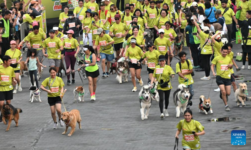 Dogs and their owners attend Bark Day Fun Run at Senayan Park in Jakarta, Indonesia, on Aug. 11, 2024. This event aims to call for more attention to the welfare of dogs and stop the dog meat trade. (Photo: Xinhua)