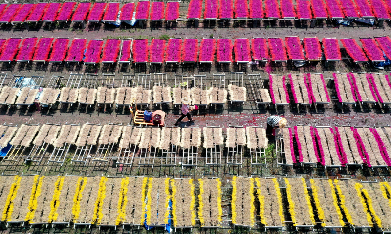 Workers dry incense sticks in Yongchun county, East China's Fujian Province, on August 25, 2024. Yongchun has more than 30,000 workers involved in incense production. Sales of Yongchun's incense products account for about 80 percent of the domestic market and one-third of Southeast Asian market. In 2023, the output value of Yongchun's incense industry reached 13.1 billion yuan ($1.8 billion). Photo: VCG