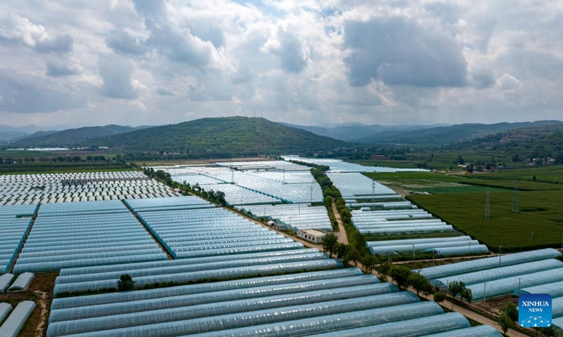 An aerial drone photo taken on Aug. 2, 2024 shows a vegetable planting base at Shatang Township in Guyuan City, northwest China's Ningxia Hui Autonomous Region. In recent years, Shatang Township has attached great importance to the development of facility agriculture, which adopted technologies including the earthworm biotechnology and straw biotechnology to increase vegetables production. Photo: Xinhua