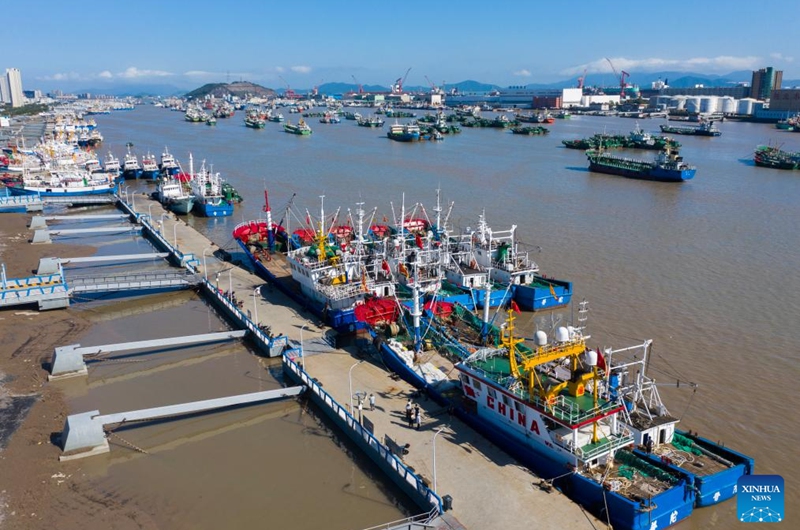 A drone photo taken on July 31, 2024 shows fishing boats at the Shenjiamen fishing port in Zhoushan City, east China's Zhejiang Province. Four types of fishing boats with special permission set sail on Thursday after a three-month summer fishing ban in the East China Sea. Photo: Xinhua