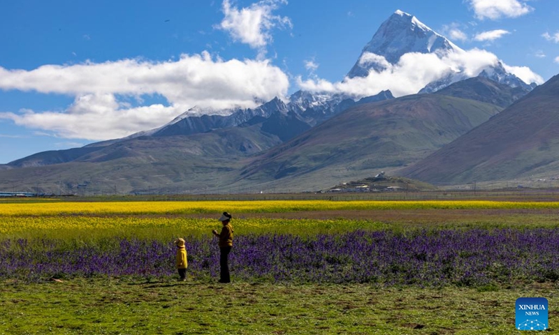 This photo taken on Aug. 1, 2024 shows the scenery of Mount Chomolhari in Yadong County of Xigaze City, southwest China's Xizang Autonomous Region. (Xinhua/Jiang Fan)