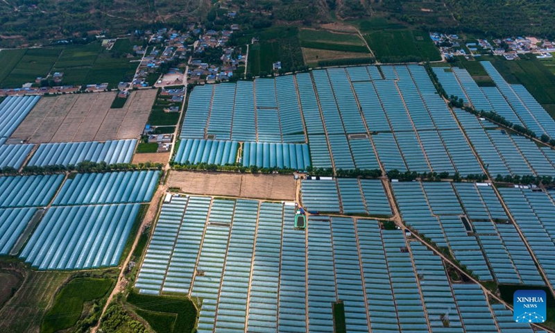 An aerial drone photo taken on Aug. 2, 2024 shows a vegetable planting base at Shatang Township in Guyuan City, northwest China's Ningxia Hui Autonomous Region. In recent years, Shatang Township has attached great importance to the development of facility agriculture, which adopted technologies including the earthworm biotechnology and straw biotechnology to increase vegetables production. Photo: Xinhua