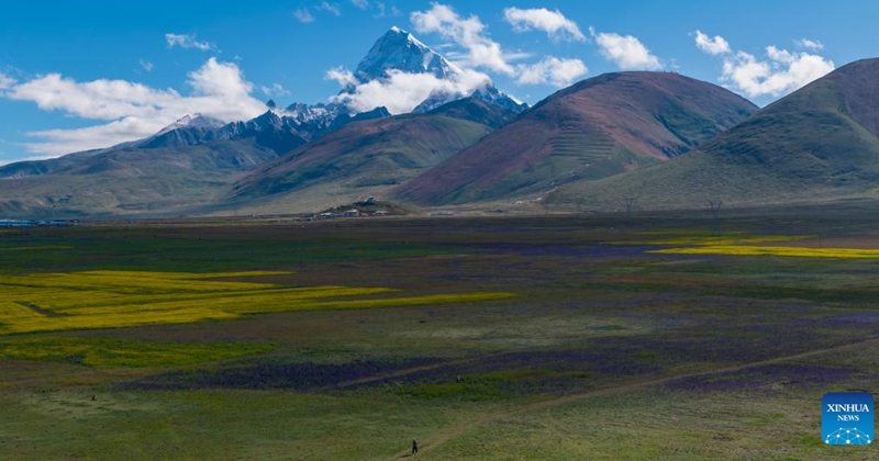 An aerial drone photo taken on Aug. 1, 2024 shows the scenery of Mount Chomolhari in Yadong County of Xigaze City, southwest China's Xizang Autonomous Region. (Xinhua/Jiang Fan)