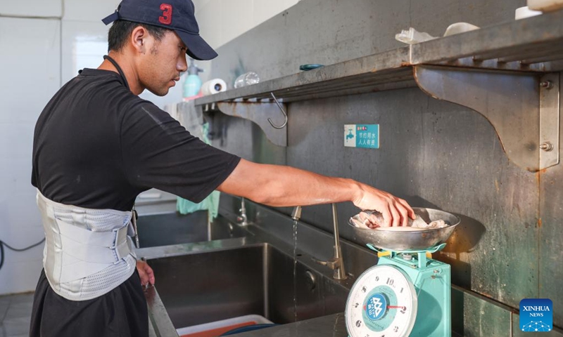 A worker weighs the food for the short-finned pilot whale Haili at Sanya Haichang Animal Conservation Center in Sanya, south China's Hainan Province, Aug. 2, 2024. Haili, a short-finned pilot whale rescued earlier after being stranded in Haitang Bay of Sanya, has recovered well and is now able to feed and dive normally. In order to increase its activity, the rescue team has expanded its swimming area to three pools, and will make further treatment and release plans according to its physical condition.  Photo: Xinhua