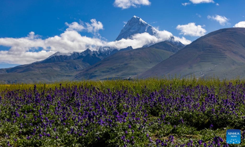 This photo taken on Aug. 1, 2024 shows the scenery of Mount Chomolhari in Yadong County of Xigaze City, southwest China's Xizang Autonomous Region. (Xinhua/Jiang Fan)