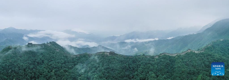 An aerial panoramic drone photo taken on Aug. 3, 2024 shows scenery of the Mutianyu section of the Great Wall in Beijing, capital of China. Photo: Xinhua