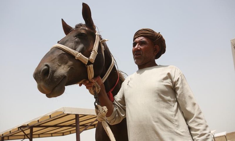 This photo taken on July 1, 2024 shows a horse and its keeper at a horse ranch in Mazar-i-Sharif, the capital of Balkh province, north Afghanistan. Photo: Xinhua