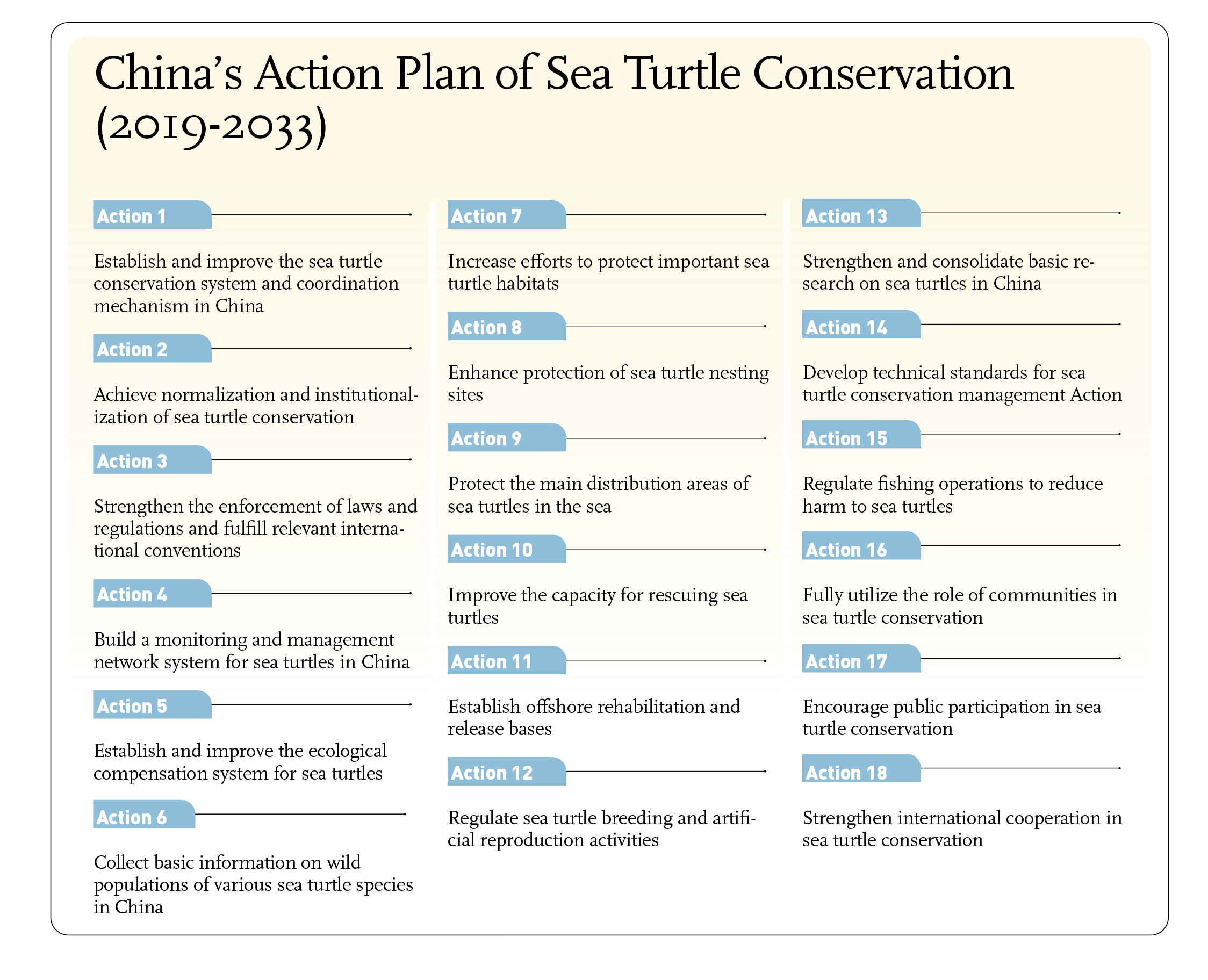 China's Action Plan of Sea Turtle Conservation (2019-2033) Graphic: Liu Xidan/GT 