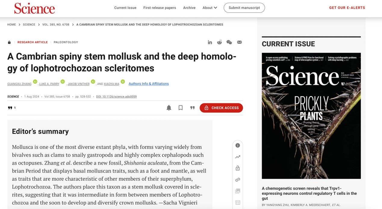 Mollusk fossils from Cambrian century, 514 million years ago, discovered in Southwest China