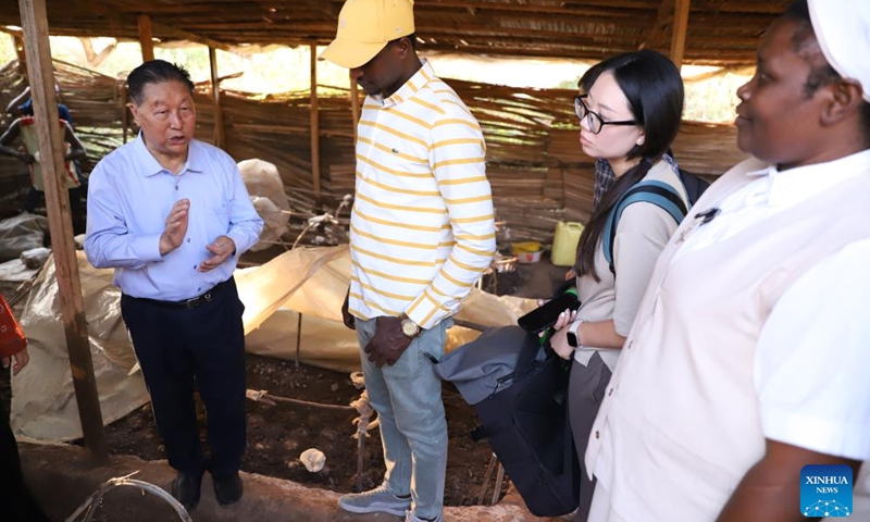 Lin Zhanxi (L), a professor from China's Fujian Agriculture and Forestry University, visits a mushroom growing shed in Kigali, Rwanda, on Aug. 2, 2024. Photo: Xinhua