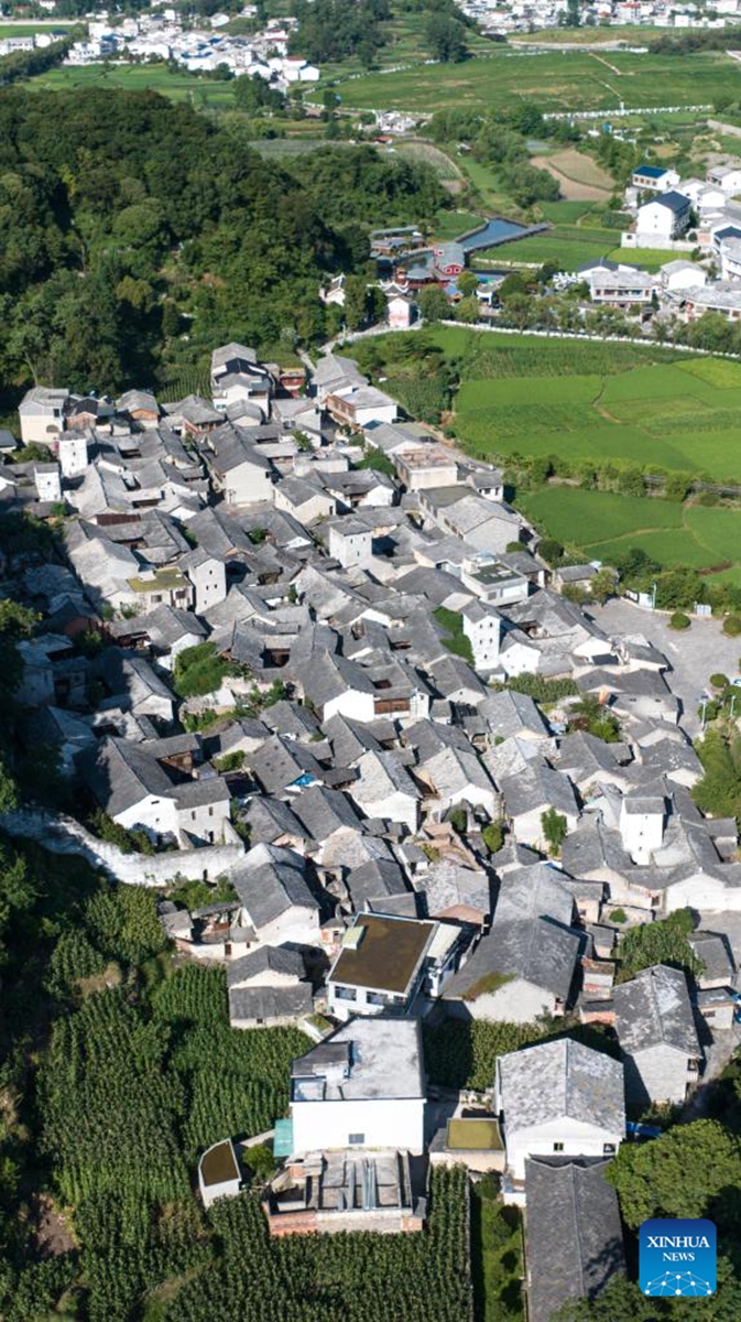 An aerial drone photo taken on July 23, 2024 shows a view of Benzhai Village in Xixiu District of Anshun City, southwest China's Guizhou Province. In Anshun City, southwest China's Guizhou Province, ancient stone buildings and unique local traditions have made a cluster of villages popular tourist destinations for many visitors. The stone-structured Tunpu residential buildings were built in the Ming Dynasty (1368-1644), when some troops were sent to Anshun, where they built villages and turned the neighborhood into farmland for growing crops. Their descendants have lived there over generations, and formed the unique Tunpu culture which preserved distinctive customs, architectures, operas and costumes of ancient times.  Photo: Xinhua